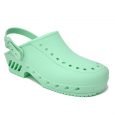 clogs_ribe_01-S_APCINT_verdechiaro_vr011
